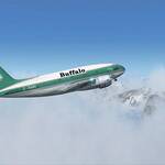 FSPIC-2010-mar-3-023